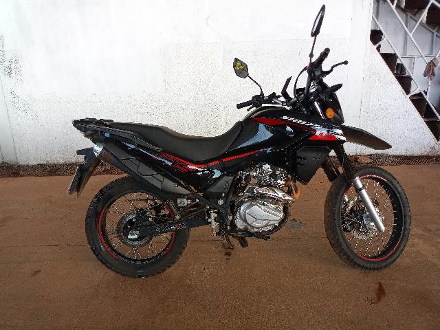 SHINERAY SHI 175  2024 / 2025