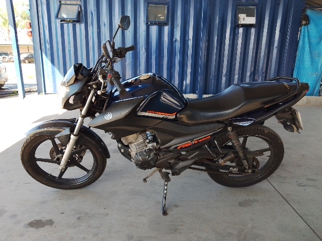 YAMAHA YBR150 FACTOR ED 2023 / 2024