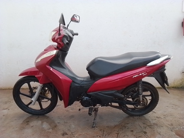 SHINERAY 50Q 2022 / 2023